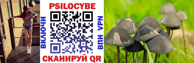 ссылка на мегу Чебаркуль Галлюциногенные грибы Psilocybine cubensis магазин