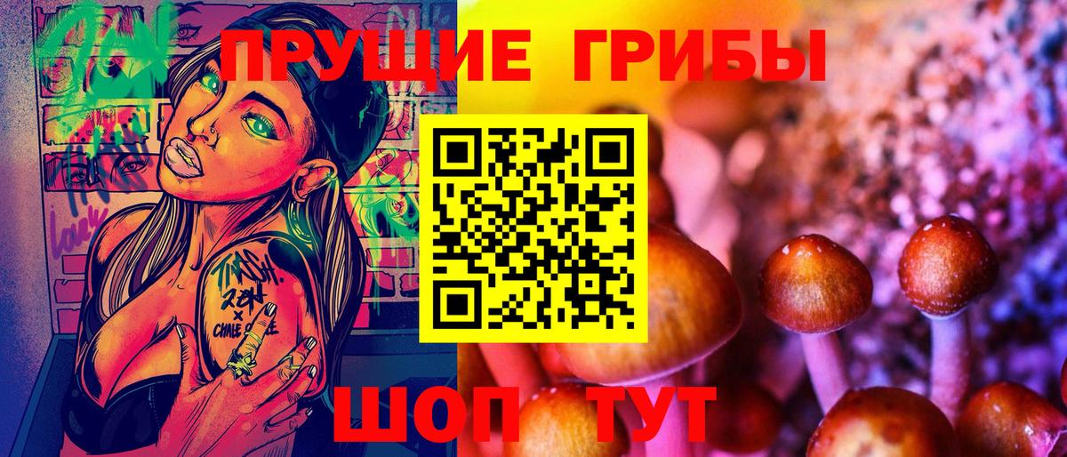 Псилоцибиновые грибы Psilocybine cubensis Чебаркуль