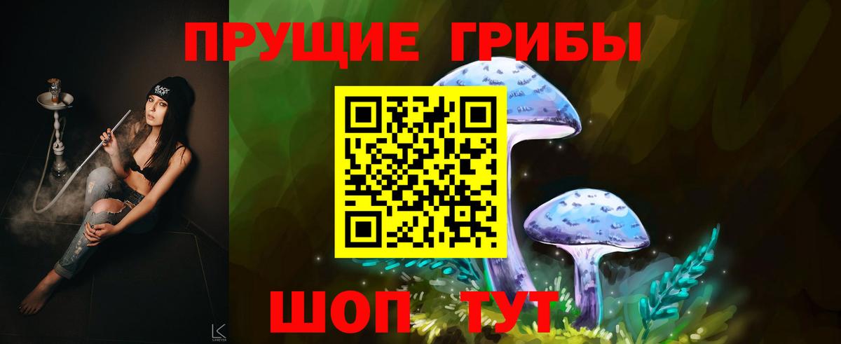 Чебаркуль  Псилоцибиновые грибы ЛСД  Галлюциногенные грибы Psilocybe  Вход с VPN 