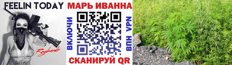 Конопля план  Чебаркуль 